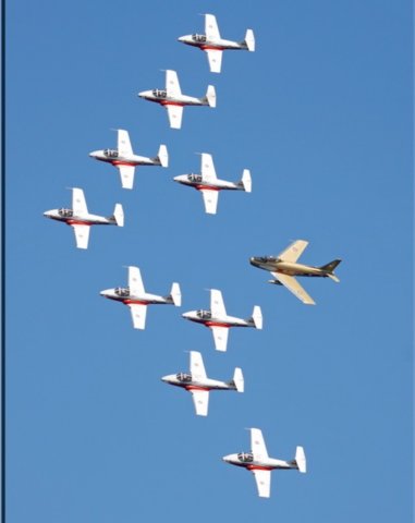 snowsandhawk1.jpg